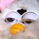 dropout-sellout-copout-blog avatar