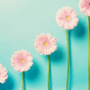 dropsofjupiter avatar