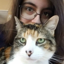 drown-in-flame avatar