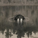 drownedinapond avatar