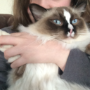 drownedinwords avatar