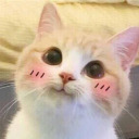 drowning-indarkness avatar