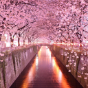 drowningalvioli avatar