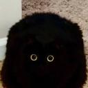 drowninginmytbr avatar