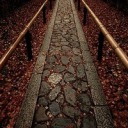 drowninginthewhispers avatar