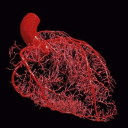 drparasitelover avatar