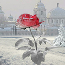 drpepperdrinkingfountain avatar