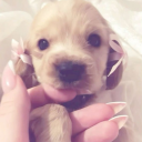 drpepperstan24 avatar