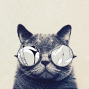 drrss-best-butt avatar