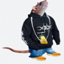 drug-rat-blog avatar