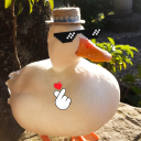 druggedduck avatar