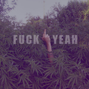 drugmoneybitches avatar