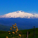 drugmotherpepper avatar