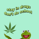 drugsundgrugs avatar