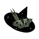druidaies avatar