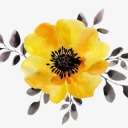 druidicrepository avatar