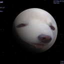 druknowsthatthekidsarentalright avatar