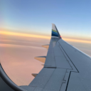 drunk-but-darlingg avatar