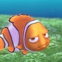 drunk-clownfish avatar