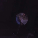 drunkamethyst3 avatar