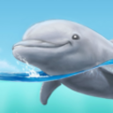 drunkdolphin avatar