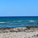 drunken-lights avatar