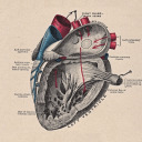 drunken-stuff avatar