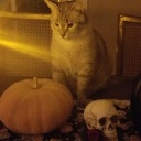 drunkonoxygen avatar