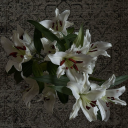 drunktextss04 avatar