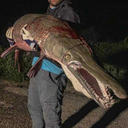 dsmith87-blog avatar