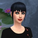 dst-sims avatar