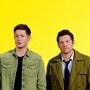 dstiel avatar