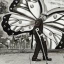 dtmorningside avatar