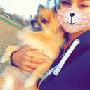 du-bist-goldwert avatar