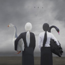 duality-hausofeclecticsouls avatar