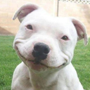 dualpunchus-blog avatar