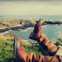 dubarryambassadors avatar