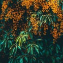 dubiousauthenticity avatar