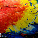 dubiousculturalartifact avatar