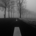 dubiousendeavours avatar