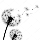 dubistmeinepusteblume avatar