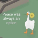 duck-duck-shenanigoose avatar
