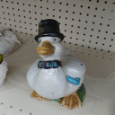 duck-in-a-thrift-store avatar