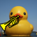duck-with-a-trumpet avatar