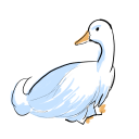 duck687450 avatar