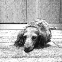 duckfeetinsauce avatar