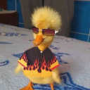 duckjacksblog avatar