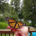 ducktapeandlace avatar