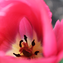 duct-tape-pentagram avatar