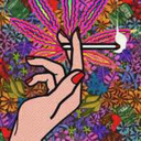 dudaecobars2-blog avatar